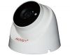 Camera IP Dome hồng ngoại 2.0 Megapixel J-TECH SHD5270B - anh 1