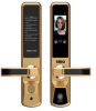 Khóa cửa vân tay nhận diện bằng khuôn mặt Viro-Smartlock 4n1 VR-F02 - anh 1