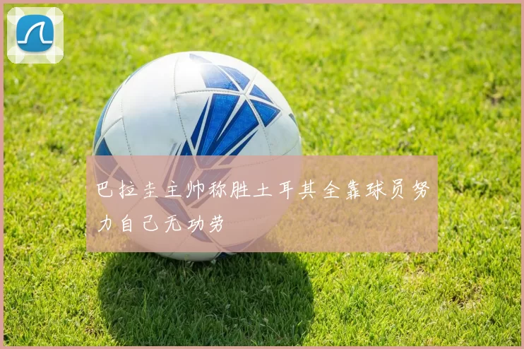 巴拉圭主帅称胜土耳其全靠球员努力自己无功劳